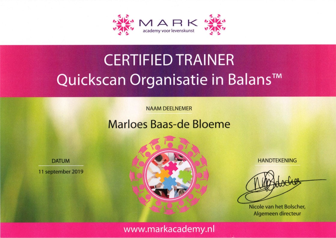 Balanskunst Certified Trainer Quickscan Organisatie in Balans